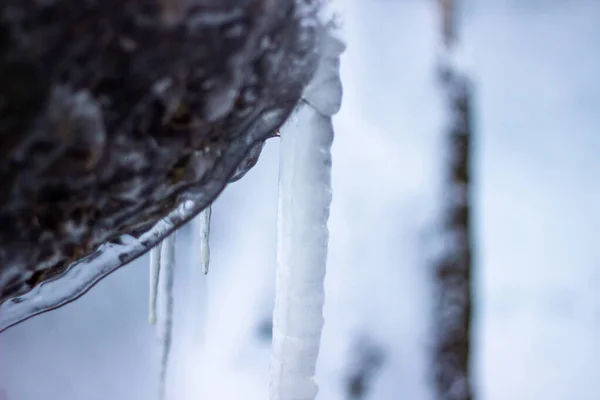 Beautifully shaped icicles on a mountain from a frozen waterfall — Stock Photo, Image
