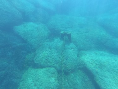Denizin dibindeki dayanak noktası taşa sıkışmış.