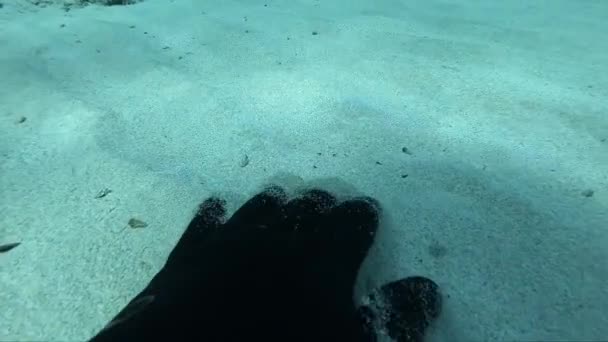 Samurunun Elinin Dibe Doğru Yükseldiği Kum Denizinin Inanılmaz Yavaş Çekim — Stok video
