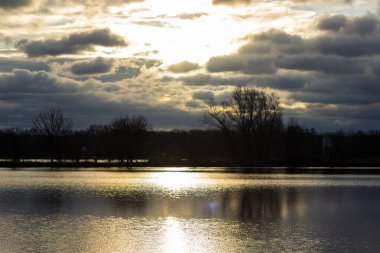 Yeşil orman suya yansıdı. Firavun ve Ladin Ormanı. Yaz ormanındaki göl. Orman ve doğa gölü. Orman ve mavi gökyüzü göle yansıyor..