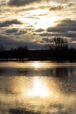 Yeşil orman suya yansıdı. Firavun ve Ladin Ormanı. Yaz ormanındaki göl. Orman ve doğa gölü. Orman ve mavi gökyüzü göle yansıyor..