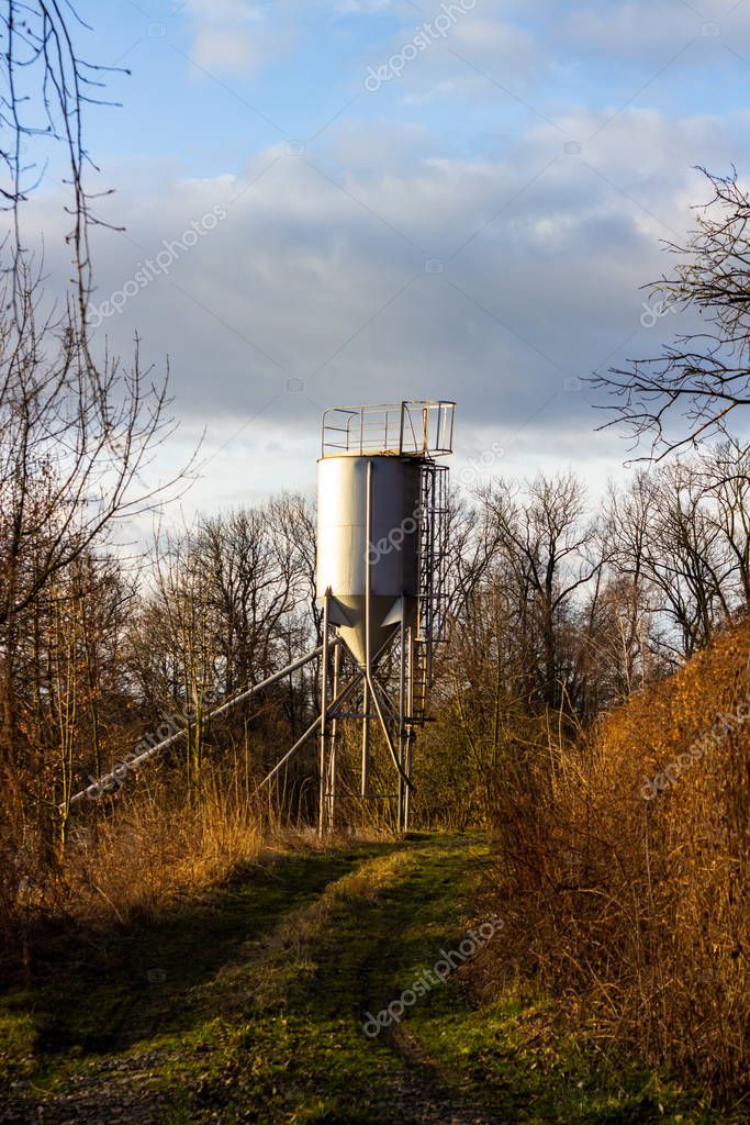 Paisaje rural de verano con un camino rural que cruza campos de maíz
