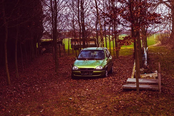 Velho Carro Verde Desmamado Floresta Com Folhas Afundadas — Fotografia de Stock