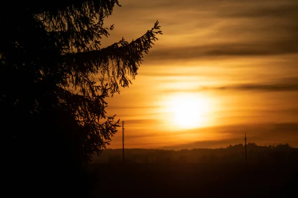 Волшебное Солнце Деревом Заднем Плане Золотое Небо Тёмные Облака Небе — стоковое фото