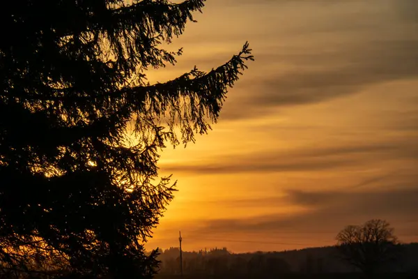 Magisk Soluppgång Sol Bakom Trädet Det Finns Gyllene Himmel Bakgrunden — Stockfoto