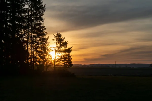 Magisk Soluppgång Sol Bakom Trädet Det Finns Gyllene Himmel Bakgrunden — Stockfoto