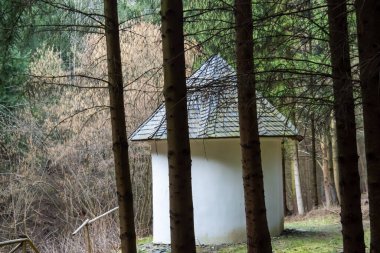 Mayenne ormanında kış. Chapel Du Hec, yapraklarla kaplı bir yosun halının arkasında duruyor..