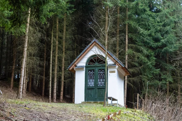 Zima Lesie Mayenne Kaplica Hec Stoi Dywanem Mchu Pokrytym Opadłymi — Zdjęcie stockowe