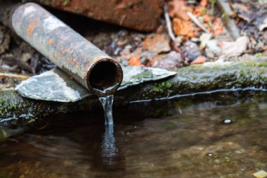 Su borudan bulanık dağ zeminine akıyor. Hottentots-Holland Dağları 'nda çekildi. Doğa koruma alanı, Somerset West, Cape Town yakınlarında..