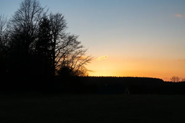 Magisk Soluppgång Sol Bakom Trädet Det Finns Gyllene Himmel Bakgrunden — Stockfoto
