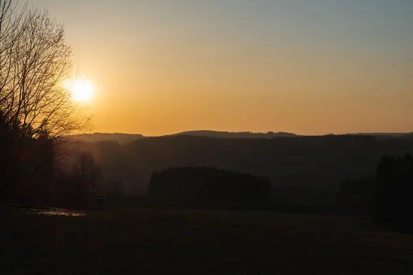 Sonnenuntergang Kiefernwald Als Hintergrund Der Natur Hintergrund Von Kiefernwald Sonnenuntergang — Stockfoto