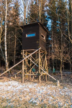 Vahşi ormandaki av kulesi. Tahta Avcı Yüksek Gözetleme Kulesi. Hunter 'ın Avrupa' daki ormandaki gözlem noktası. Çek Cumhuriyeti.