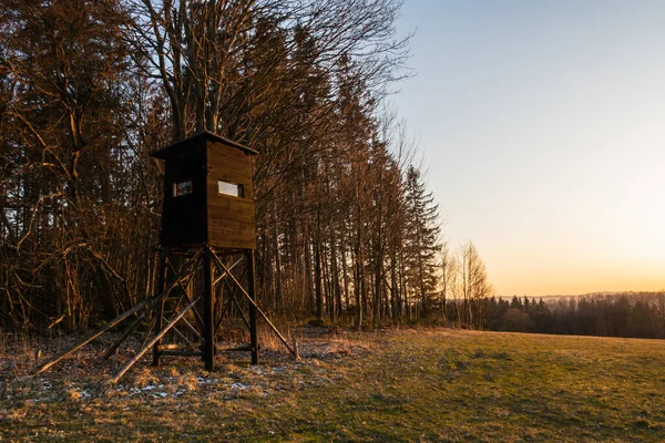 Jagdturm Wilden Wald Hölzerne Jäger Verstecken Hohen Wachtturm Jägerbeobachtungspunkt Wald — Stockfoto