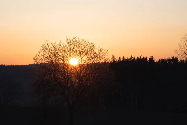 Träd Mot Solnedgången Landskap Med Jävla Solnedgång Terrängen Södra Europa — Stockfoto