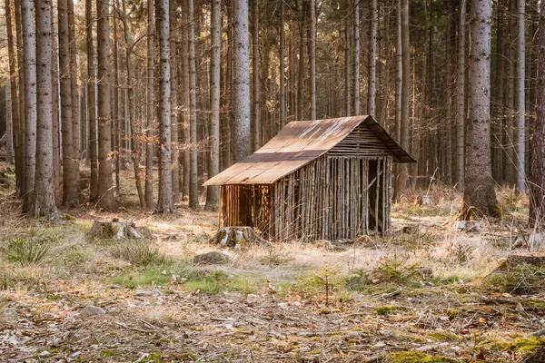 Pequeña Casa Madera Abandonada Situada Borde Bosque Casa Está Dañada — Foto de Stock