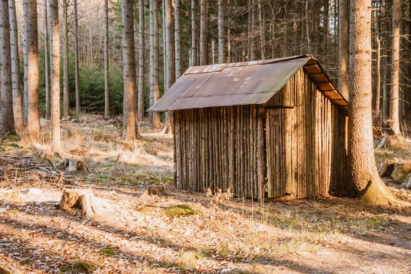 Mały Opuszczony Drewniany Dom Położony Skraju Lasu Dom Jest Uszkodzony — Zdjęcie stockowe