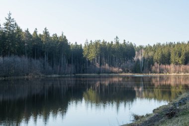 Göl kenarındaki yeşil orman doğadaki su güzelliğinin yansımasıdır..