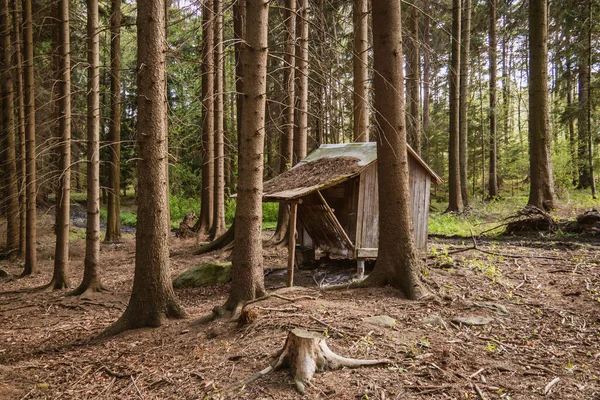 Das Kleine Verlassene Holzhaus Waldrand Gelegen Das Haus Ist Beschädigt — Stockfoto