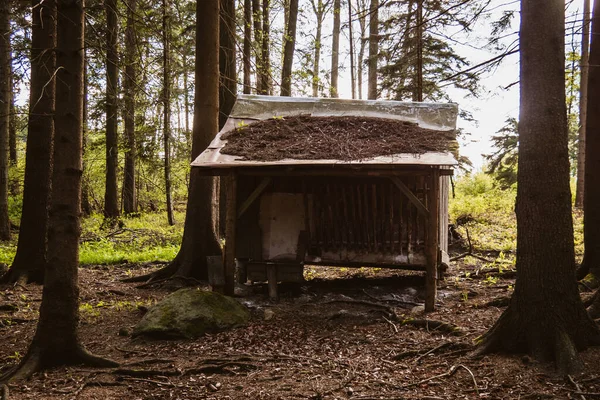 Mały Opuszczony Drewniany Dom Położony Skraju Lasu Dom Jest Uszkodzony — Zdjęcie stockowe