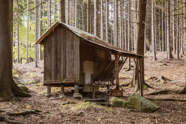 Pequeña Casa Madera Abandonada Situada Borde Bosque Casa Está Dañada — Foto de Stock