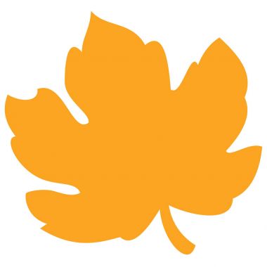 Tek sarı sonbahar yaprak 