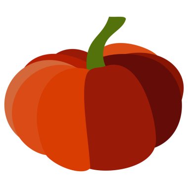 Tek bir kabak yeşil bir kök ile