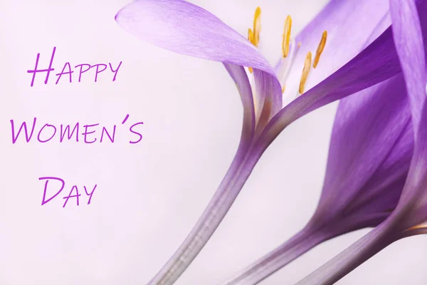 国际妇女节贺卡 在照片中 一束浅色背景的花和一个祝贺的题词 — 图库照片
