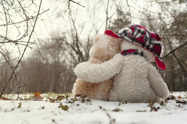 Two Teddy bears hugging each other sitting in the snow in the forest. The concept of love, relationships.