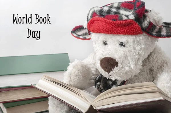 Osito Peluche Blanco Con Sombrero Rojo Está Leyendo Libro Junto —  Fotos de Stock