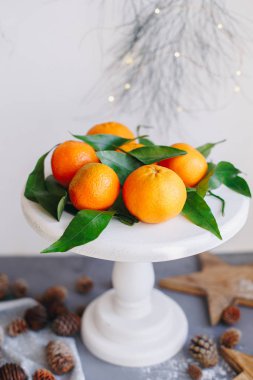 Gri arka planda turuncu mandalinalar. Kahverengi kozalaklı ve yeşil yapraklı yeni yıl dekorunda. Mandalinalı Noel süsü. Lezzetli tatlı Clementine.