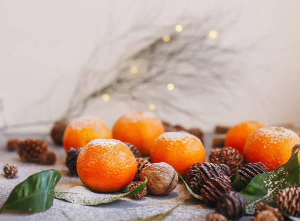 Gri arka planda turuncu mandalinalar. Kahverengi kozalaklı ve yeşil yapraklı yeni yıl dekorunda. Mandalinalı Noel süsü. Lezzetli tatlı Clementine.