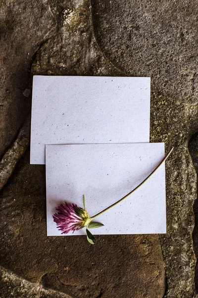 Wedding details flat lay on stone background. Wedding invitation. Ring box. Mock up. Copyspace. Clover. — Stockfoto