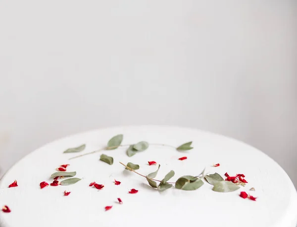 Red and green petals on white stand. Copyspace.