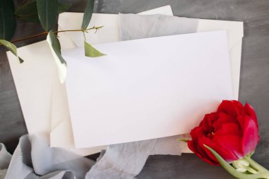 Boş kağıt kopyalama alanı. Çiçeklerle çerçevelenmiş. İpek kurdele. Gri arka plan. Basit bir buket. Tebrik kartı.