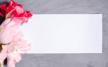 Boş kağıt kopyalama alanı. Çiçeklerle çerçevelenmiş. İpek kurdele. Gri arka plan. Basit bir buket. Tebrik kartı.