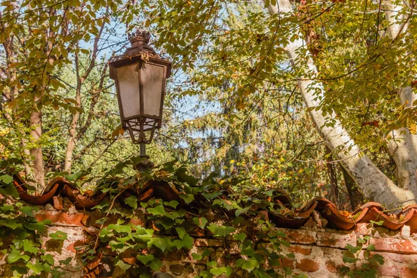 Bitkilerin arasında antika bir sokak lambası beliriyor.