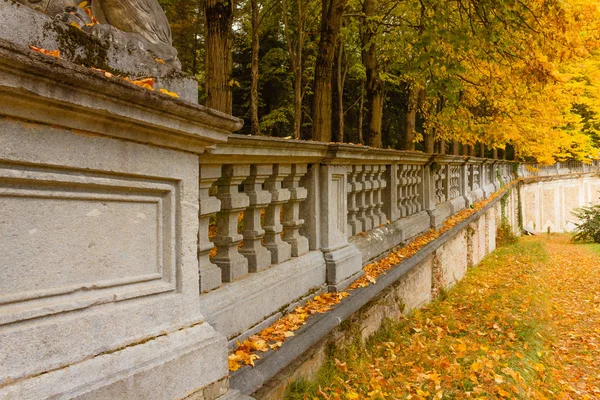 Renkli bir sonbahar ormanı.