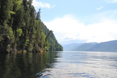 Teletskoe Gölü, Altay, Rusya