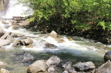 Teletskoe Gölü, Altay, Rusya