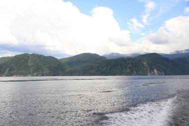 Teletskoe Gölü, Altay, Rusya