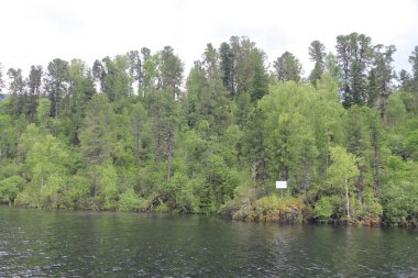 Teletskoe Gölü, Altay, Rusya