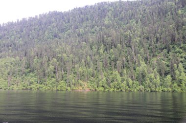 Teletskoe Gölü, Altay, Rusya