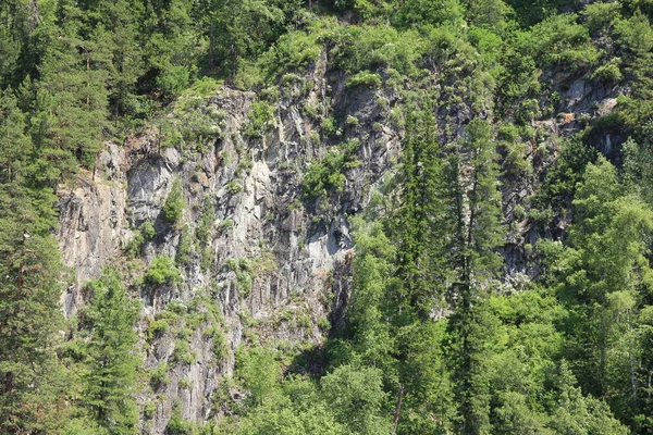Teletskoe Gölü, Altay, Rusya