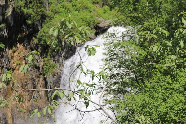 Teletskoe Gölü, Altay, Rusya