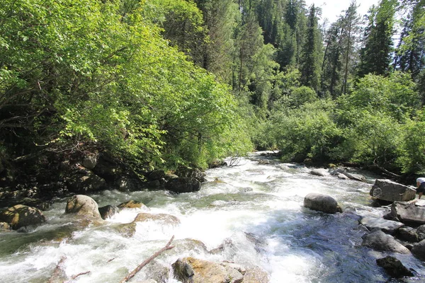 Teletskoe Gölü, Altay, Rusya