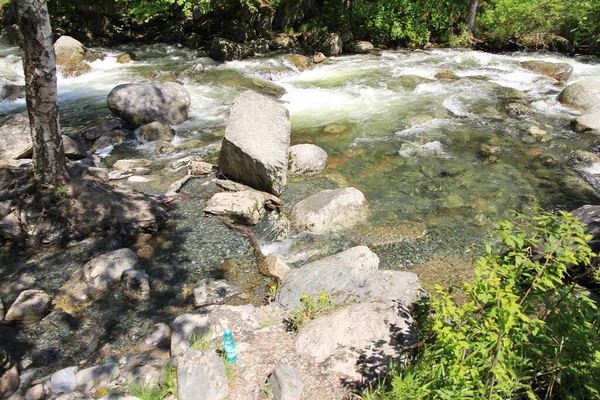 Teletskoe Gölü, Altay, Rusya