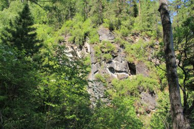 Teletskoe Gölü, Altay, Rusya