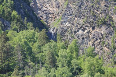 Teletskoe Gölü, Altay, Rusya
