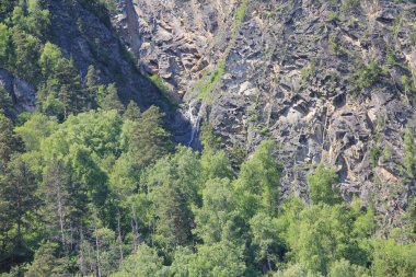 Teletskoe Gölü, Altay, Rusya