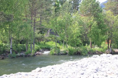 Teletskoe Gölü, Altay, Rusya